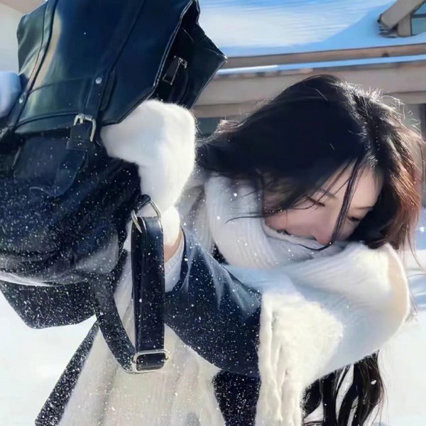 天上掉下个林妹妹